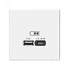 ARTGALLERY USB розетка A + тип-C 45Вт высокоскор.заряд. QC, PD, механизм, лотос GAL001329