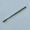 DS1021-1X40SF11-B