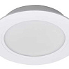 Светильник светодиодный PLED DL7 WH Downlight 12Вт 4000К 145х26мм IP54 ДВО встраив. 5042544