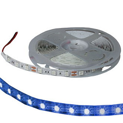 5050 300LED IP33 12V BLUE