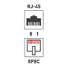 Розетка сетевая LAN на стену 1 гнездо 8Р8С (RJ-45) 5кат. 06-0104-B