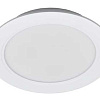 Светильник светодиодный PLED DL7 WH Downlight 24Вт 4000К 220х26мм IP54 ДВО встраив. 5042568